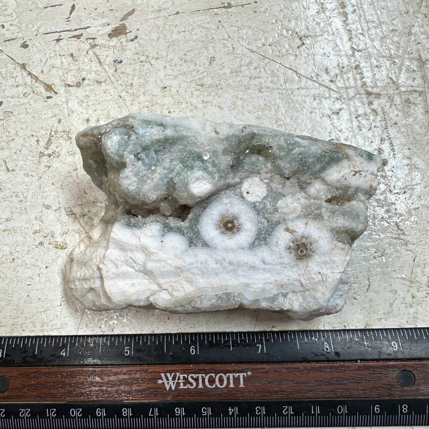 OCEAN JASPER Rough - 0.91 Pounds