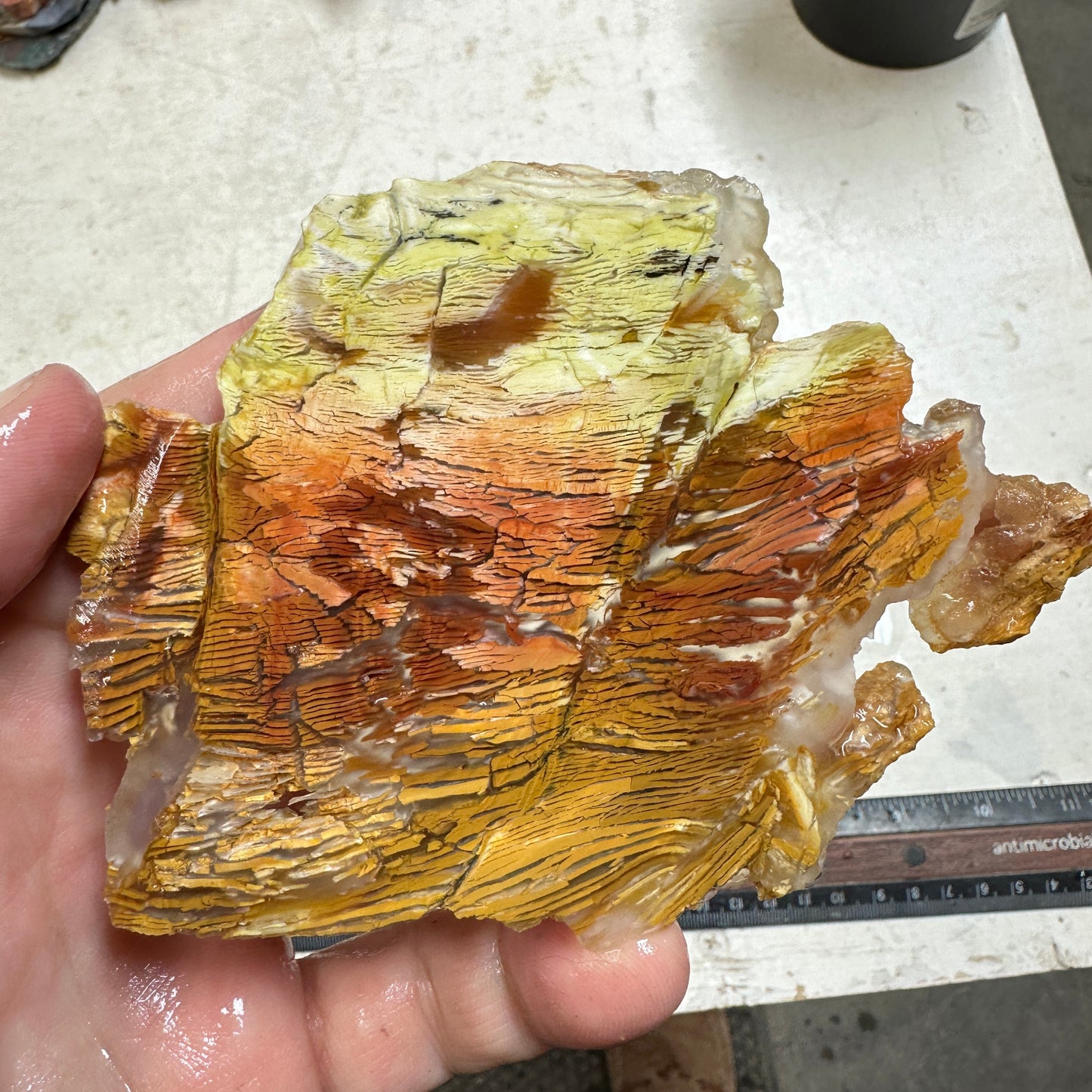SUNSET HOWARDITE Slab - 124 grams