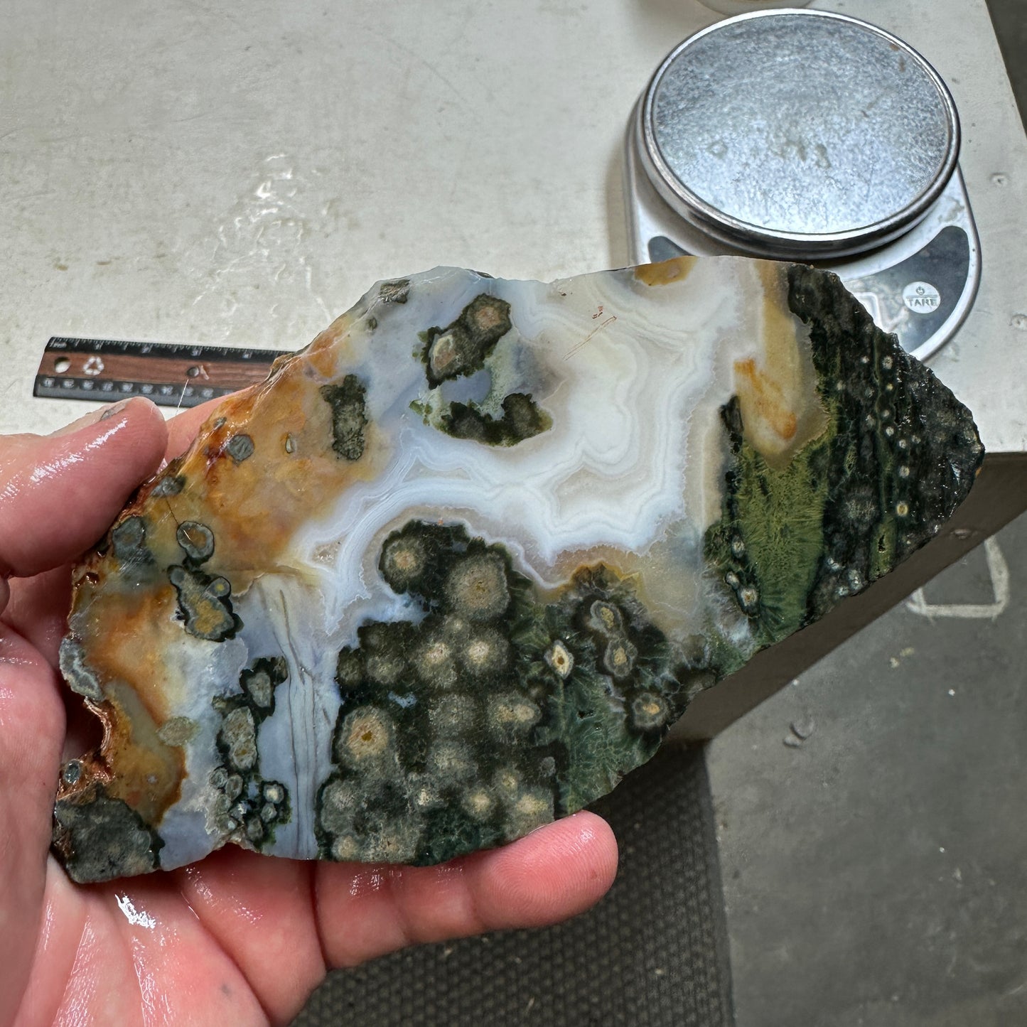 OCEAN JASPER Slab - 174 grams