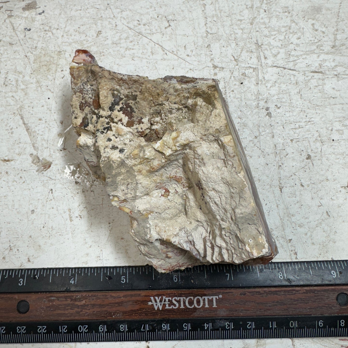 Sunset HOWARDITE Faced Rough - 0.71 pounds