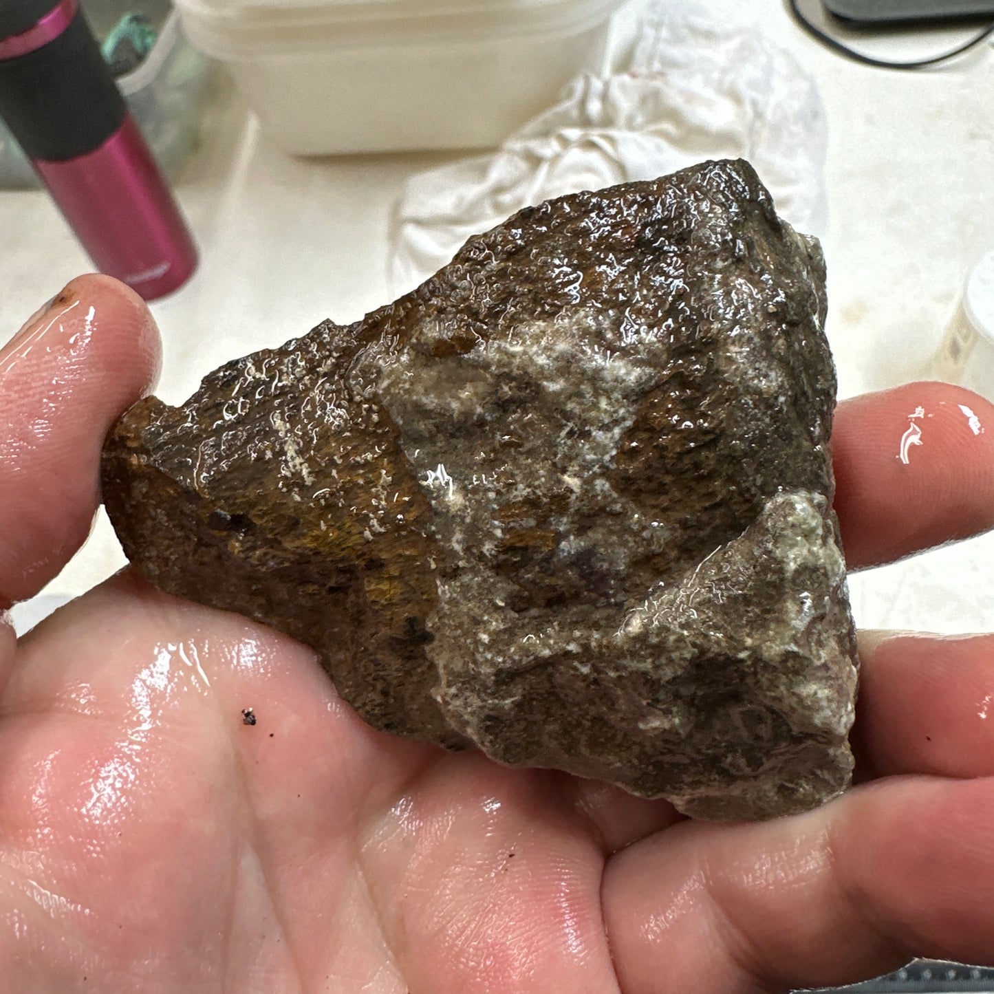 GEMBONE Dinosaur Bone Faced Rough - 0.58 Pounds