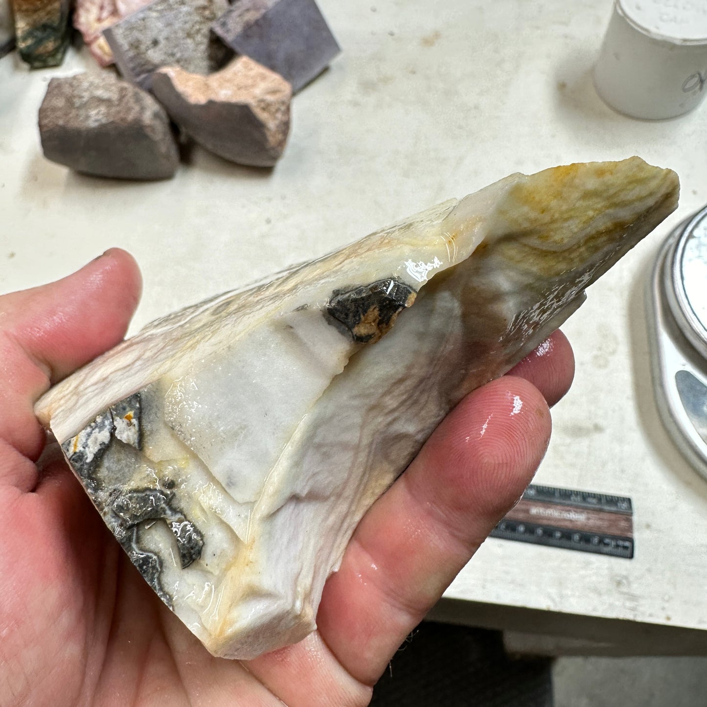 WINDY MOUNTAIN AGATE Rough - 1.38 Pounds