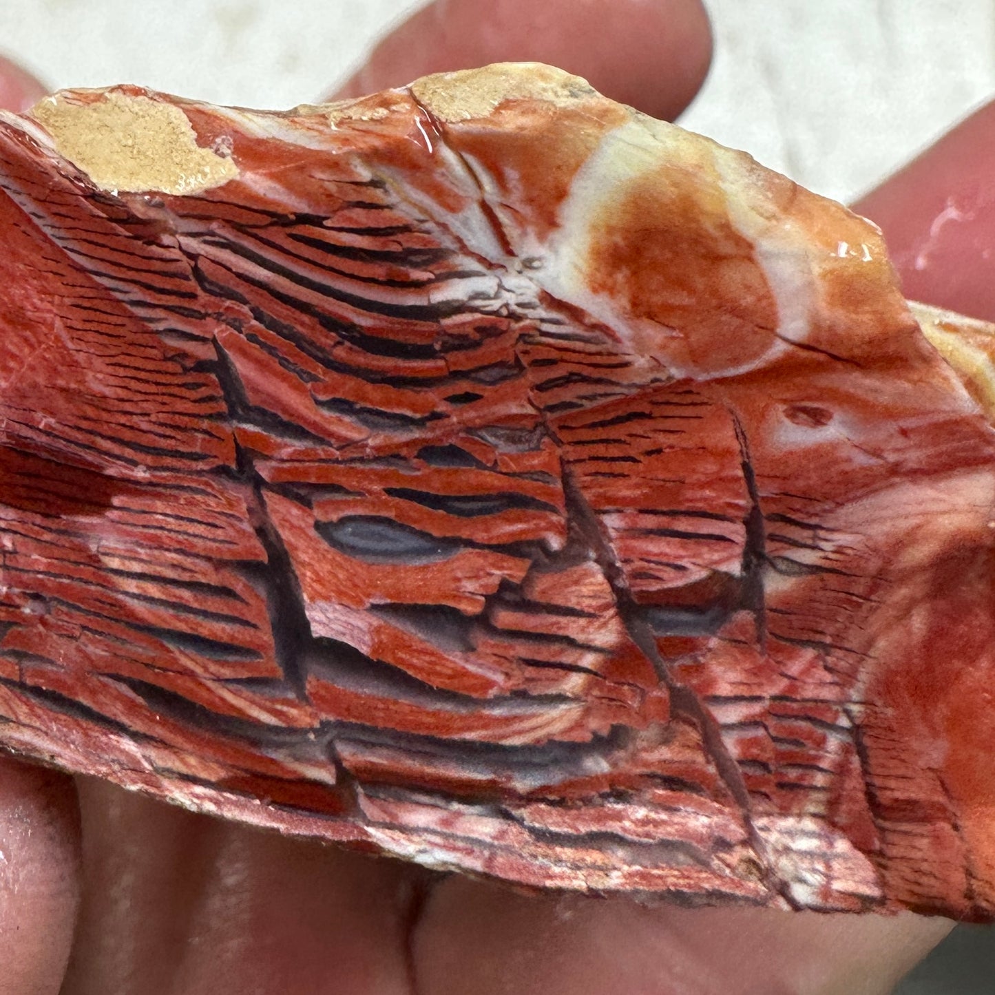 Red HOWARDITE Faced Rough - 0.46 pounds