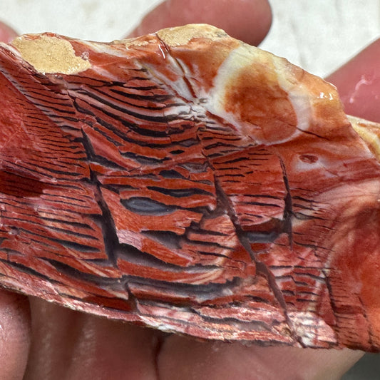 Red HOWARDITE Faced Rough - 0.46 pounds