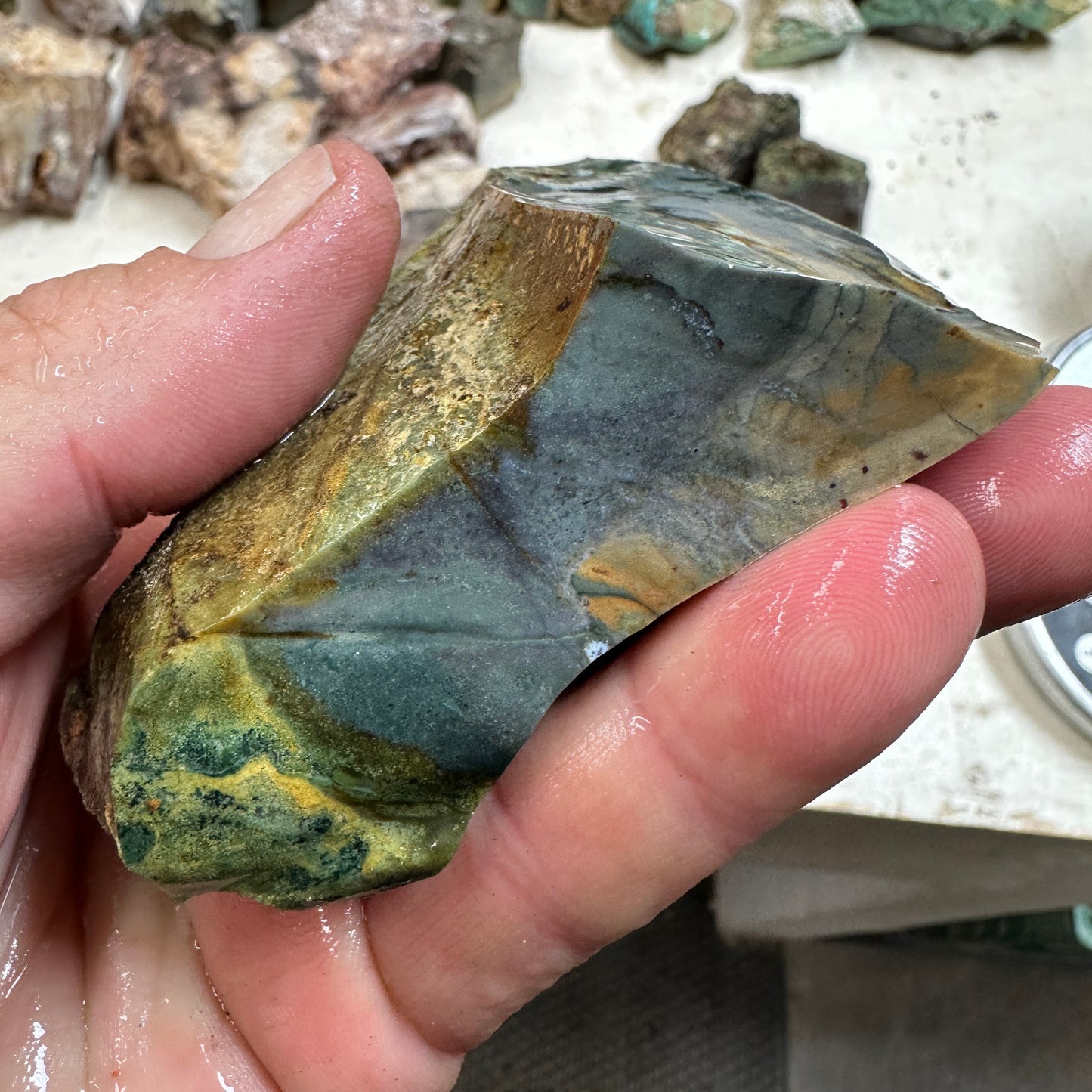 Orbed ECHO RIDGE JASPER Rough - 0.84 Pounds