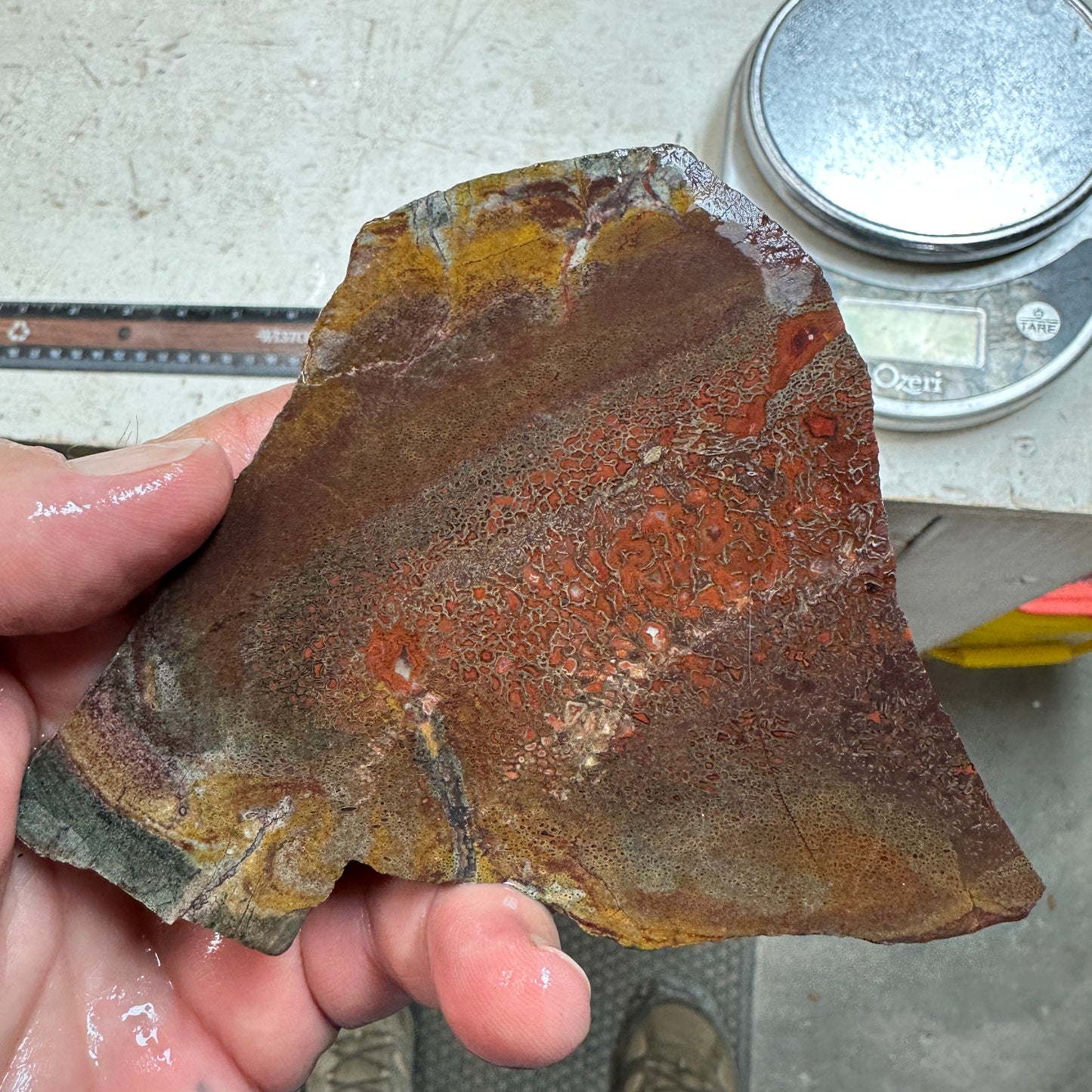 GEMBONE Dinosaur Bone Slab - 142 grams