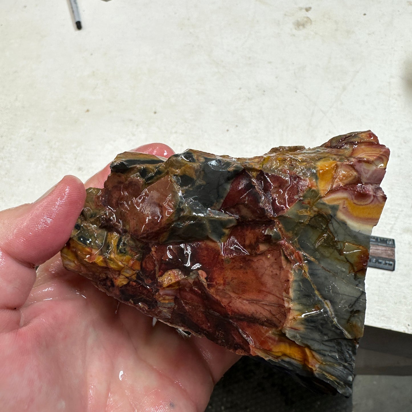 WINDY MOUNTAIN JASPER Faced Rough - 2.30 Pounds