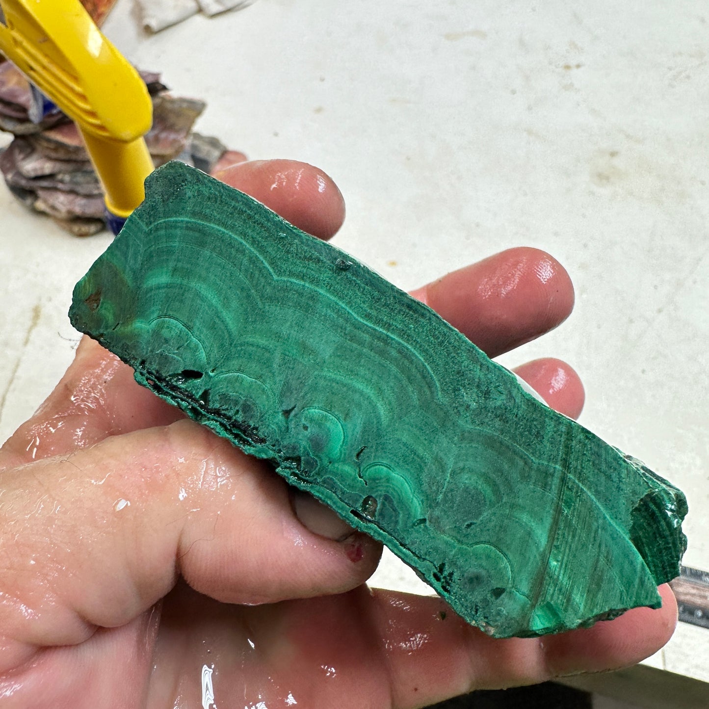 MALACHITE Faced Rough - 1.51 Pounds