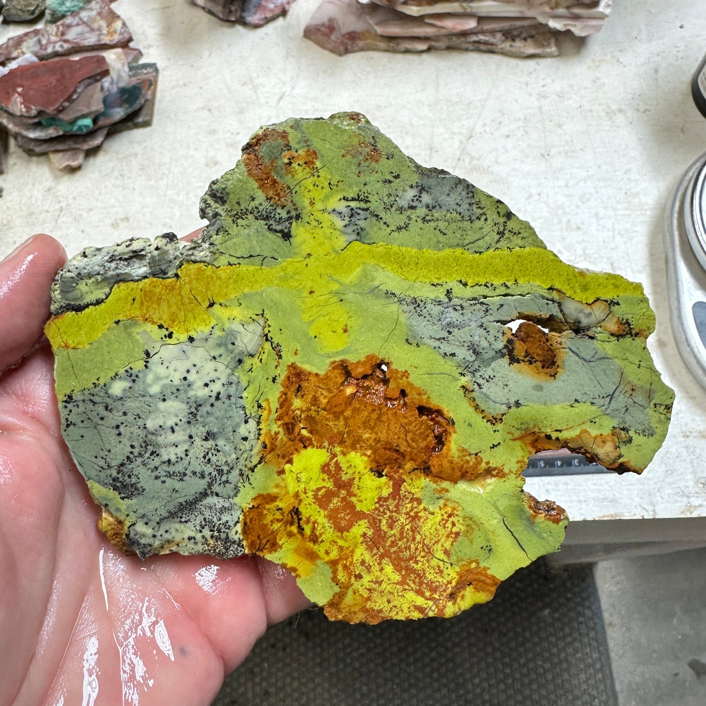 GREEN DREAM Slab - 212 grams