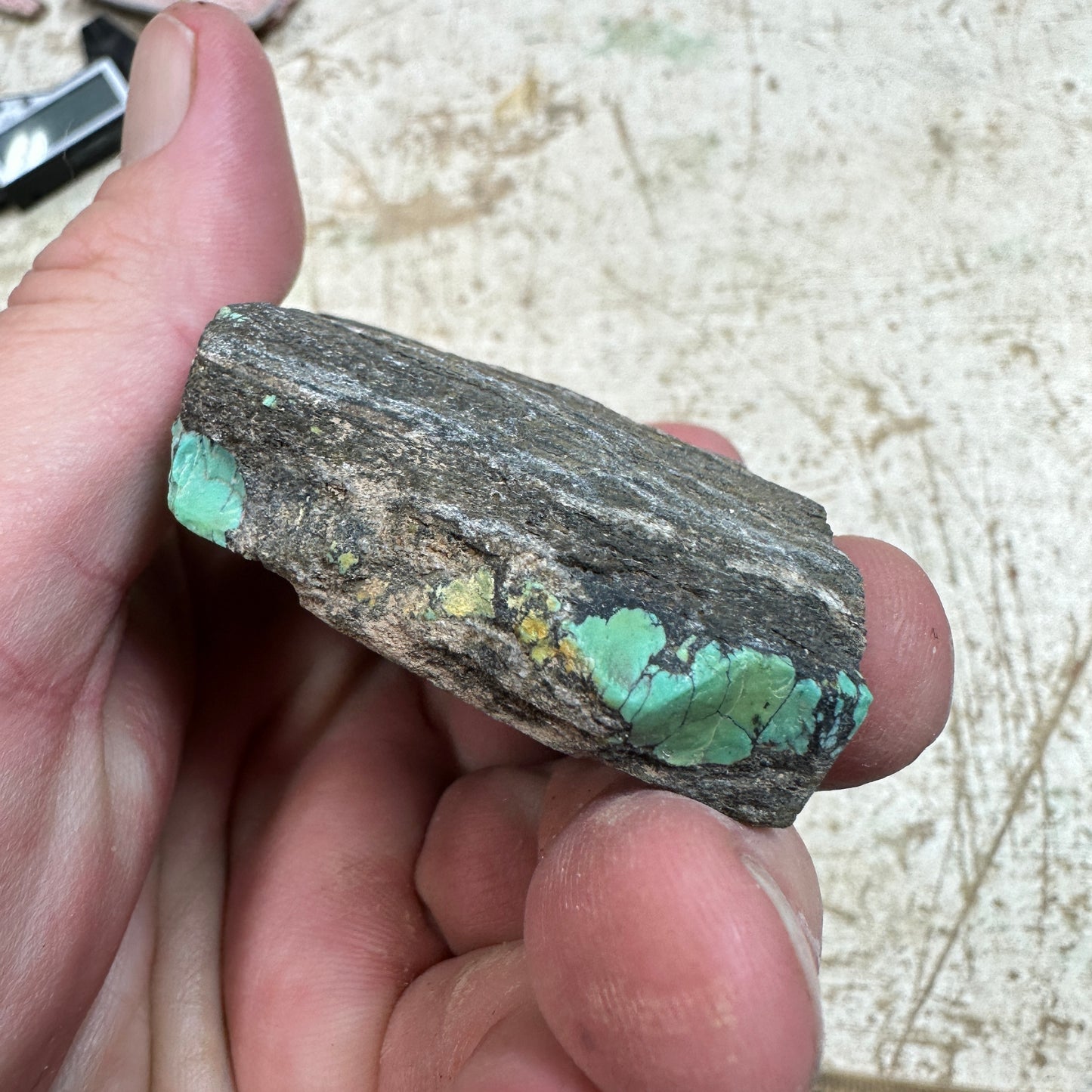 203 gram Hubei Turquoise rough