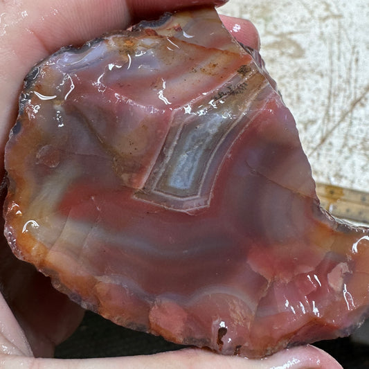 SWAZI ROSE AGATE Rough - 1.31 Pounds