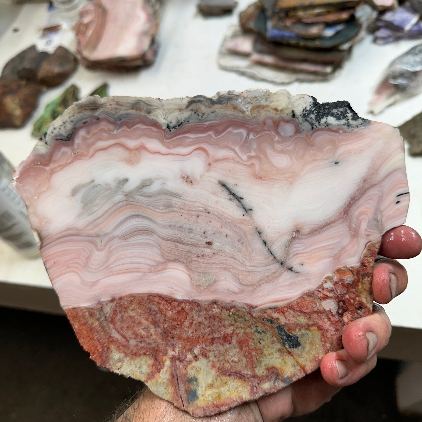 WINDY MOUNTAIN AGATE Slab - 473 grams