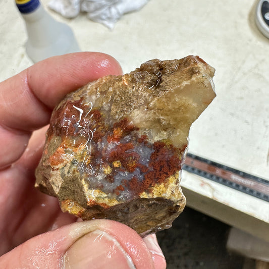 CAREY PLUME AGATE Rough - 4.32oz