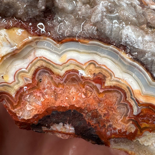 CRAZY LACE AGATE Rough - 0.95 pounds