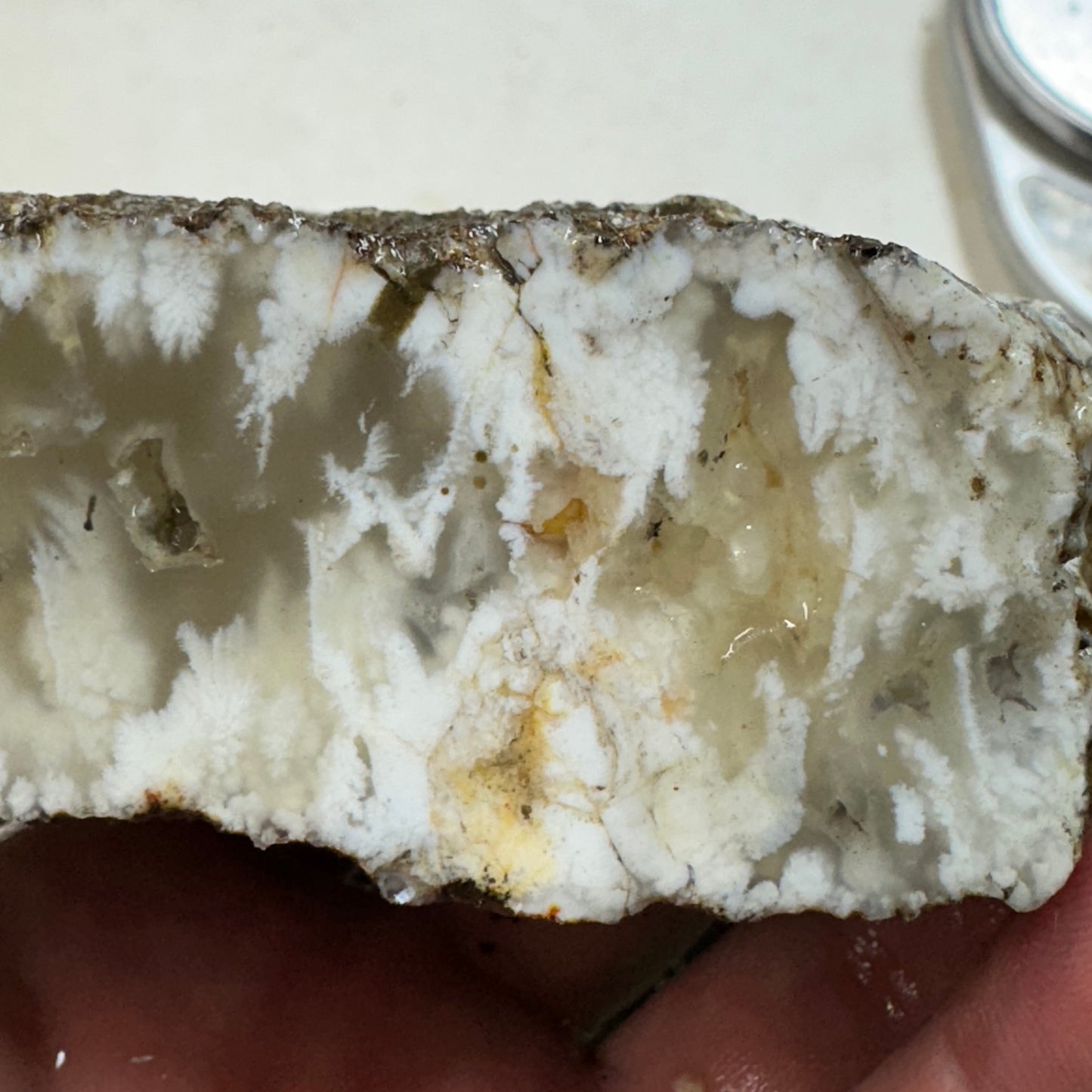 NEVADA POINT PLUME AGATE Rough - 1.27 Pounds