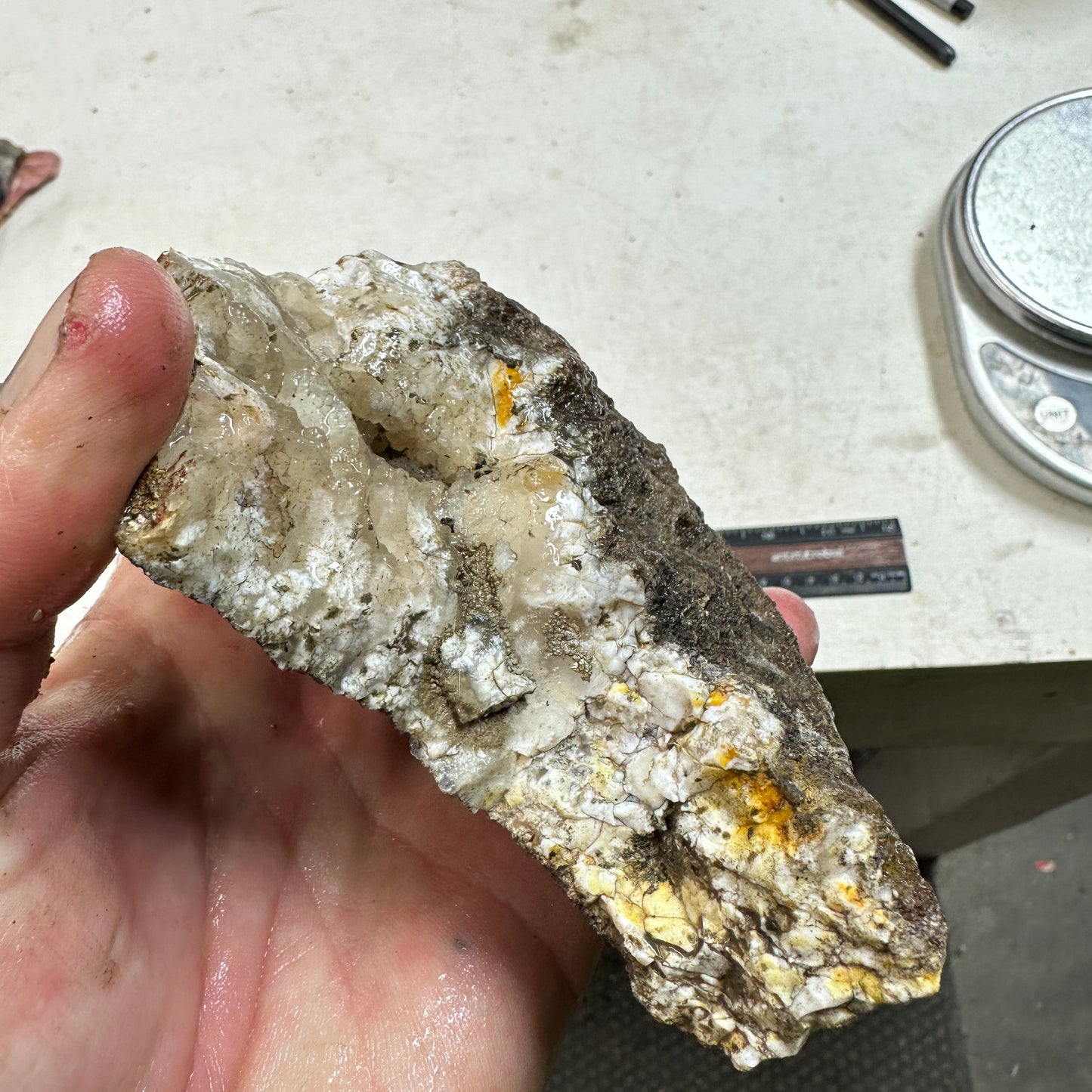 NEVADA POINT PLUME AGATE Rough - 1.27 Pounds