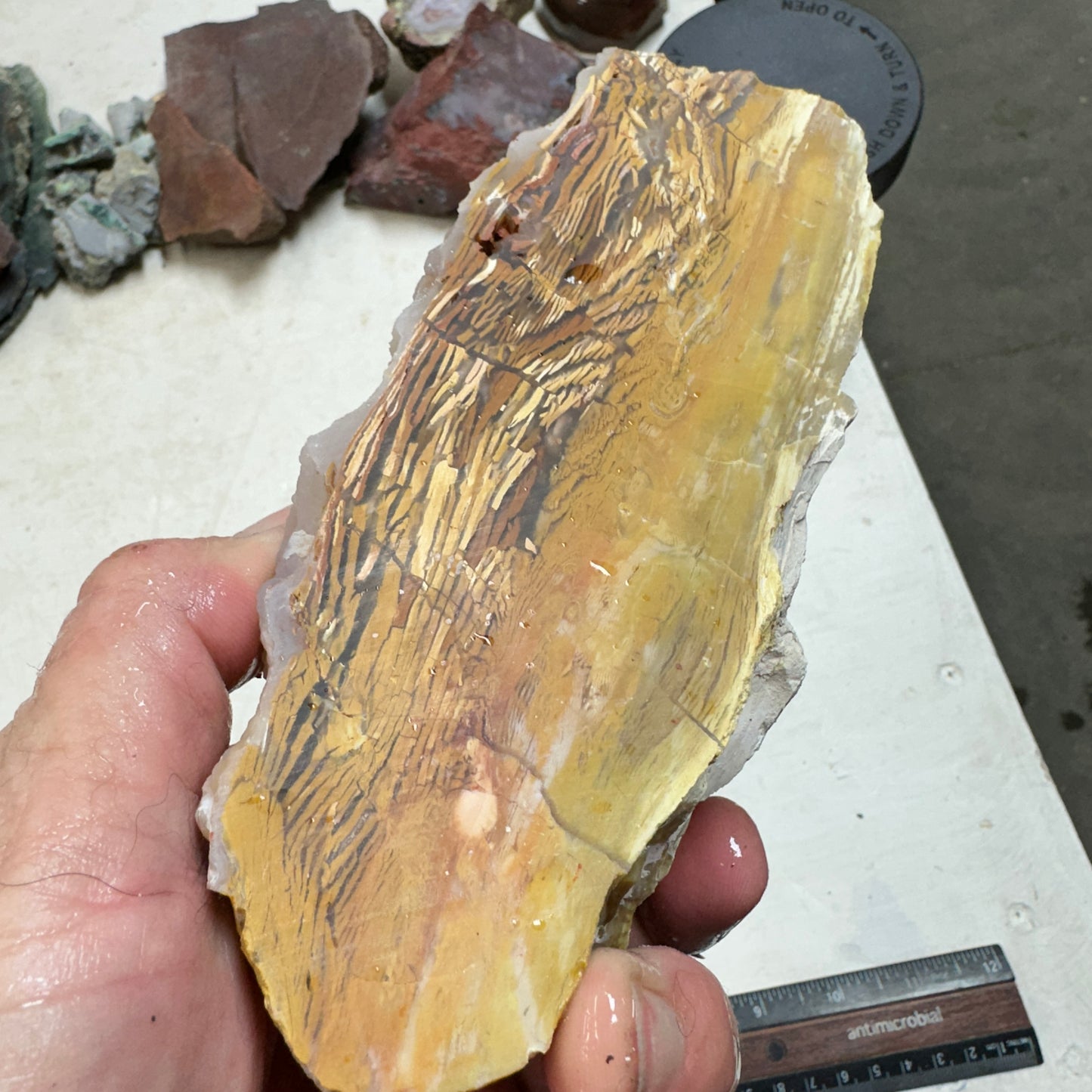 GOLDEN HOWARDITE Faced Rough - 2.58 Pounds