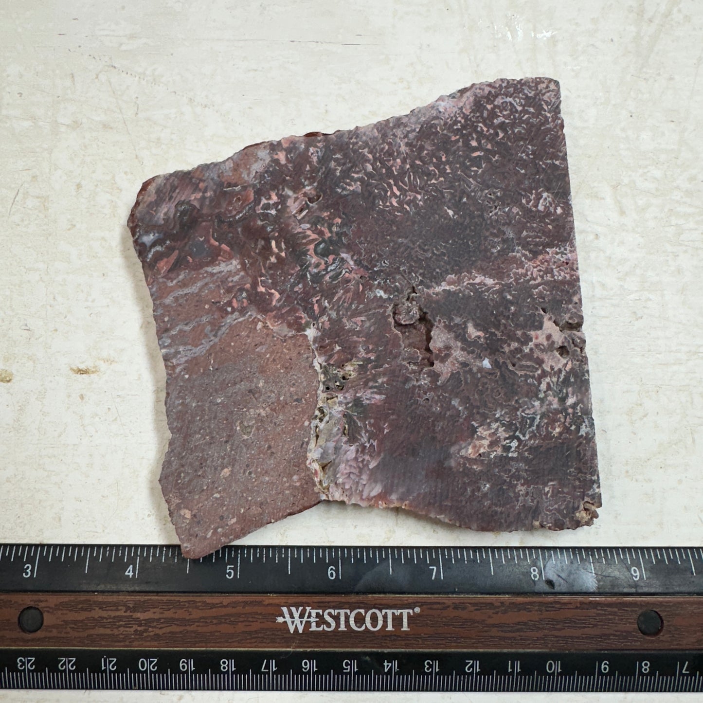 CADY MOUNTAIN AGATE Slab - 222 grams