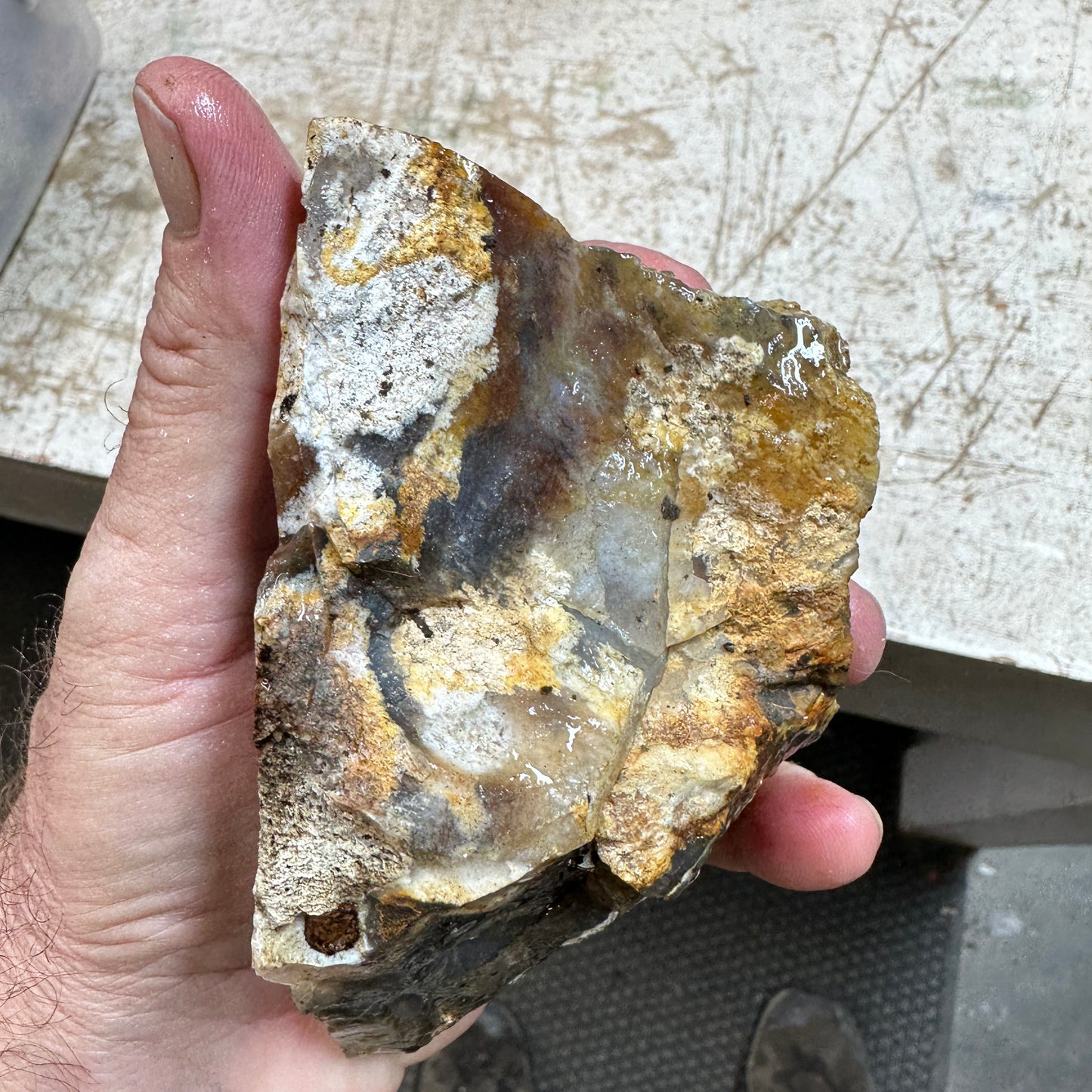 GRAVEYARD POINT PLUME AGATE Faced Rough - 1.78 Pounds