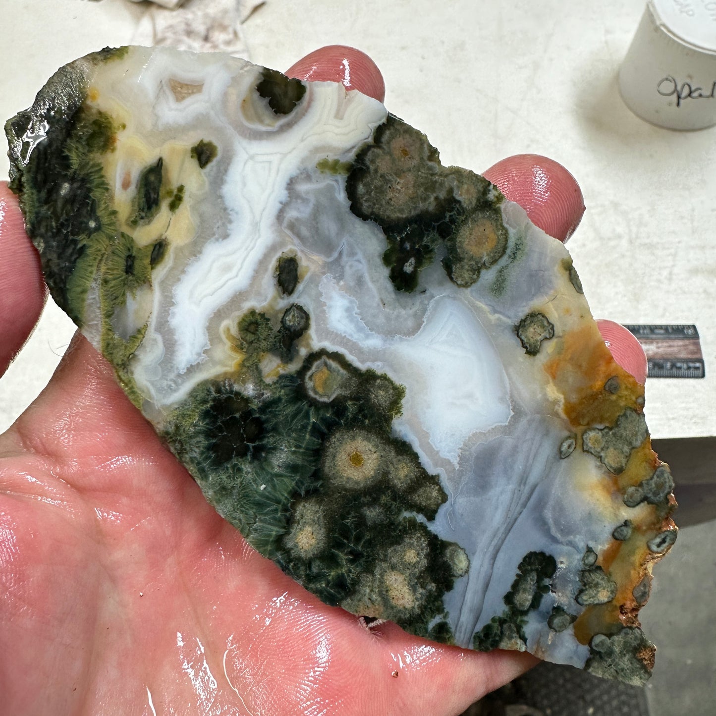 OCEAN JASPER Slab - 127 grams