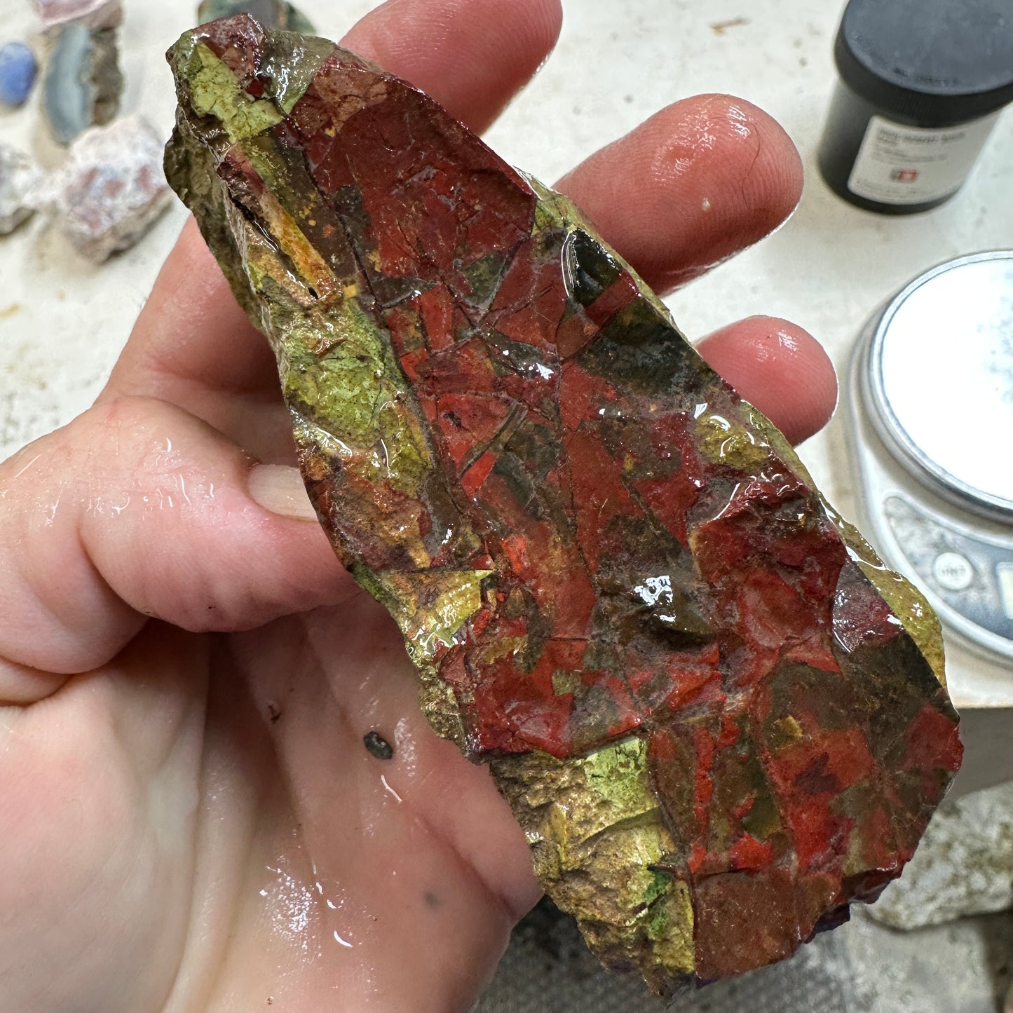 ECHO RIDGE JASPER Rough - 0.81 Pounds