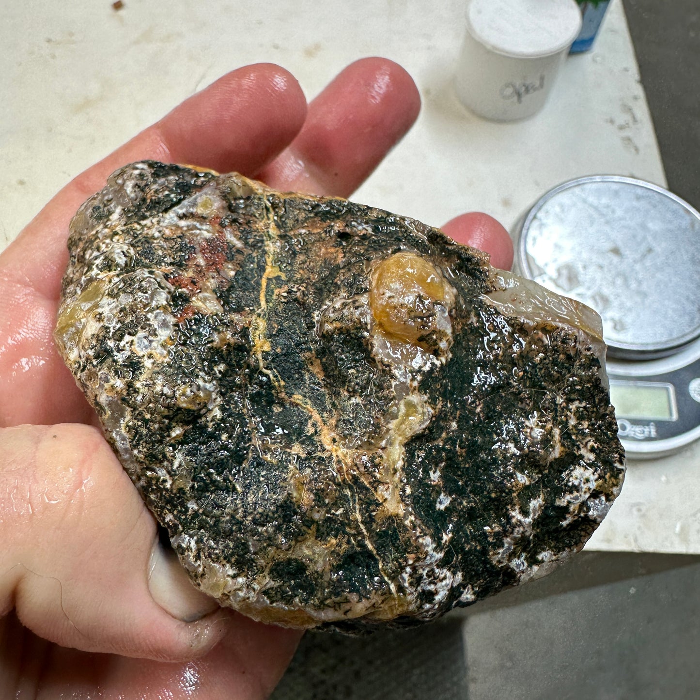 MOROCCAN AGATE Rough - 1.11 Pounds