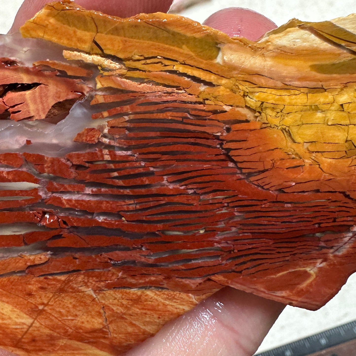 SUNSET HOWARDITE Slab - 56 grams