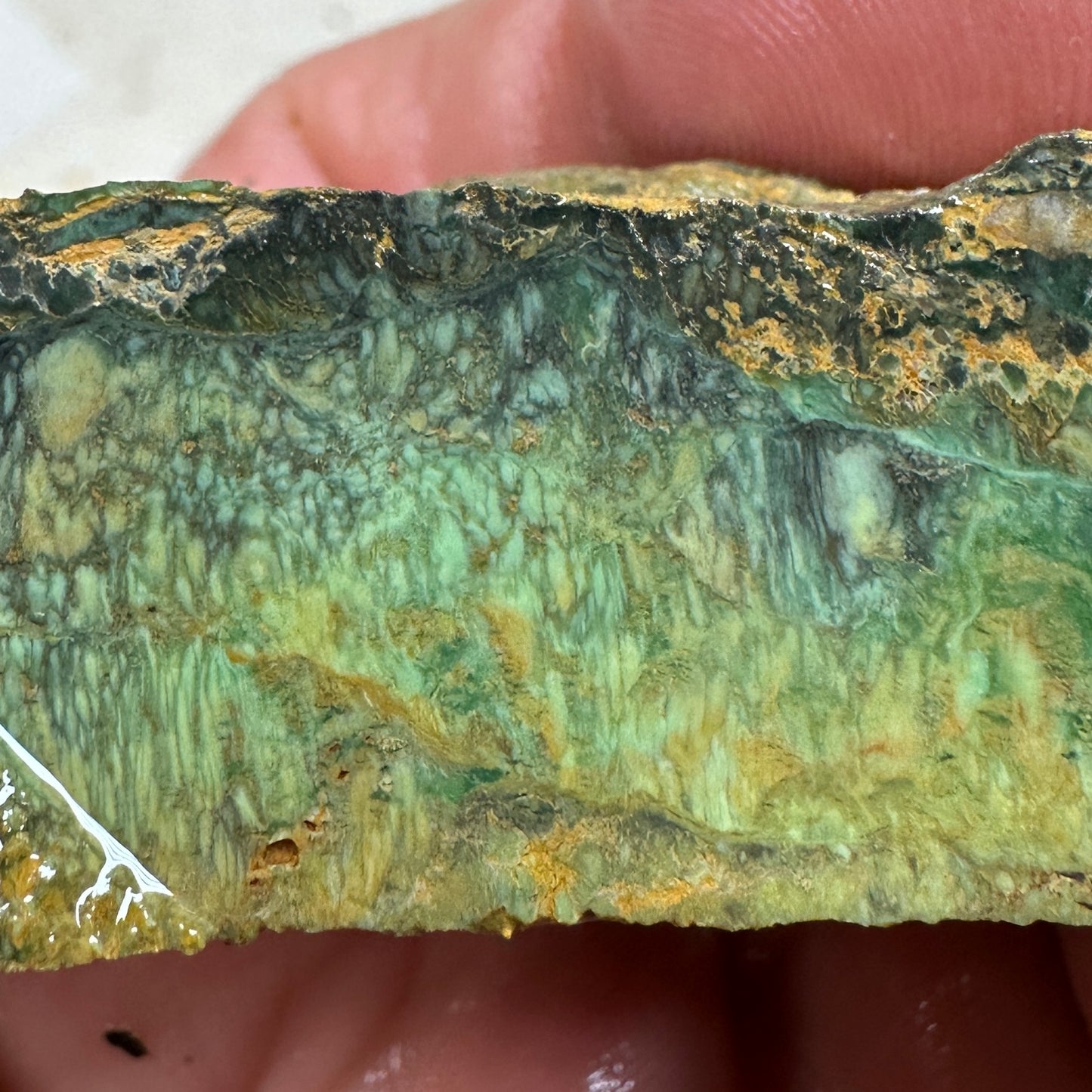 AUSTRALIAN VARISCITE Faced Rough - 117.5 grams