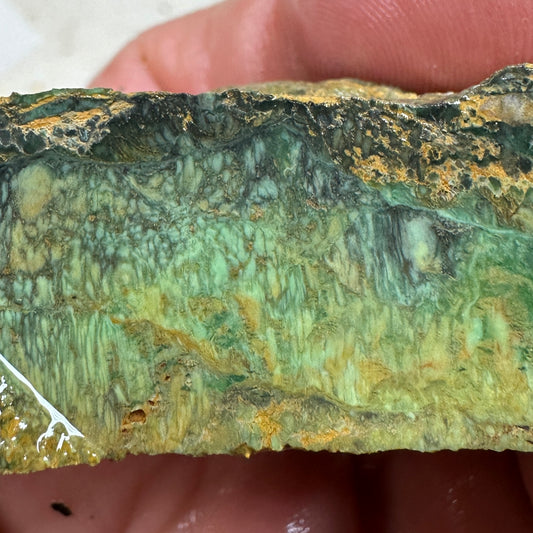 AUSTRALIAN VARISCITE Faced Rough - 117.5 grams
