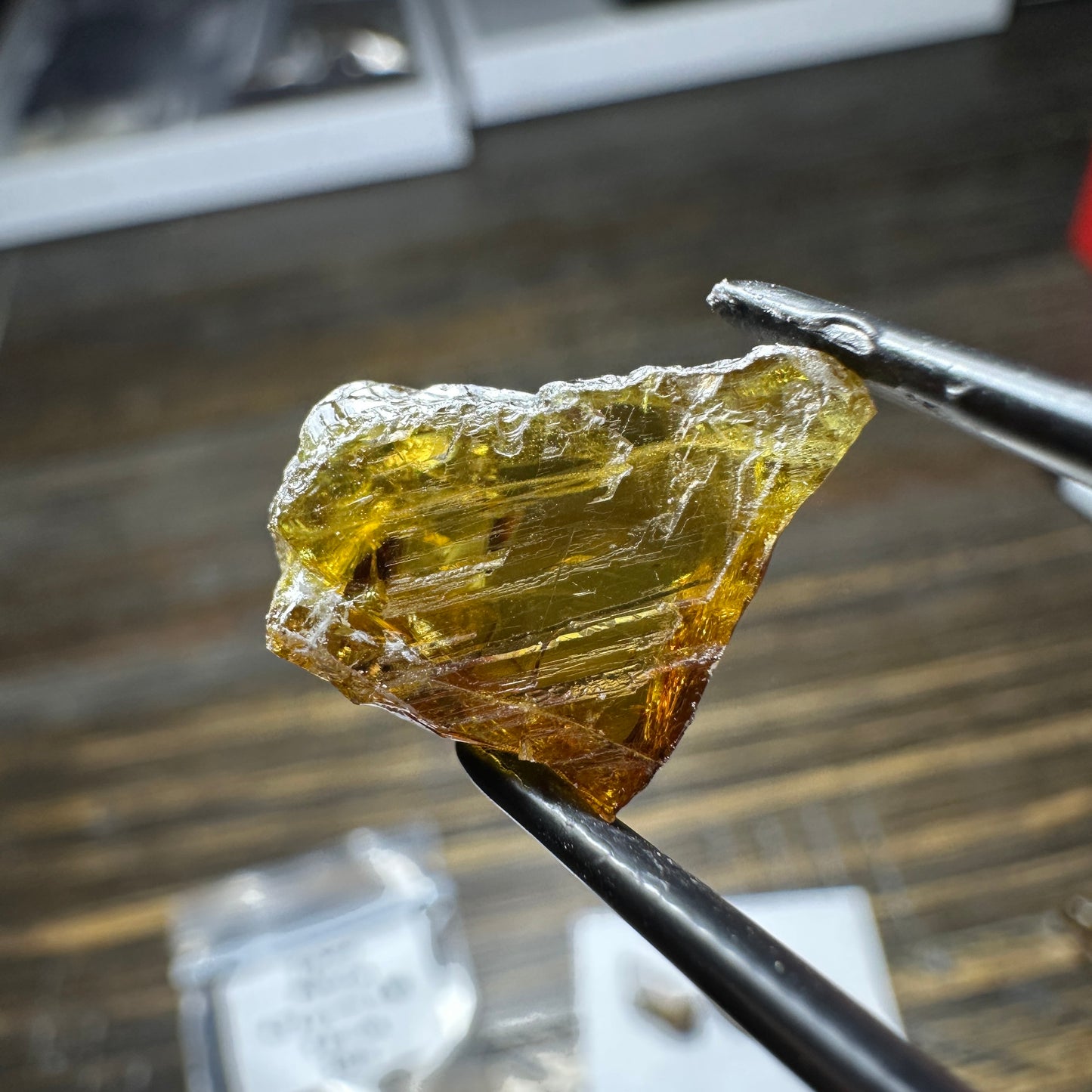 SPHENE 3pcs., 4.73g Facet Rough Parcel