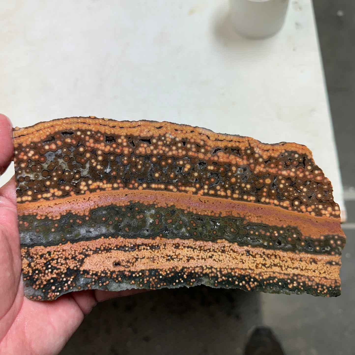 Chocolate RIVER JASPER Slab - 316 grams