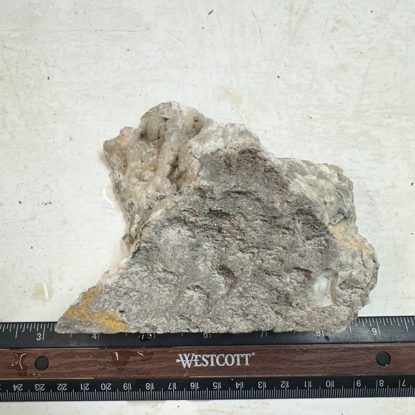 NEVADA POINT PLUME AGATE Rough - 1.27 Pounds