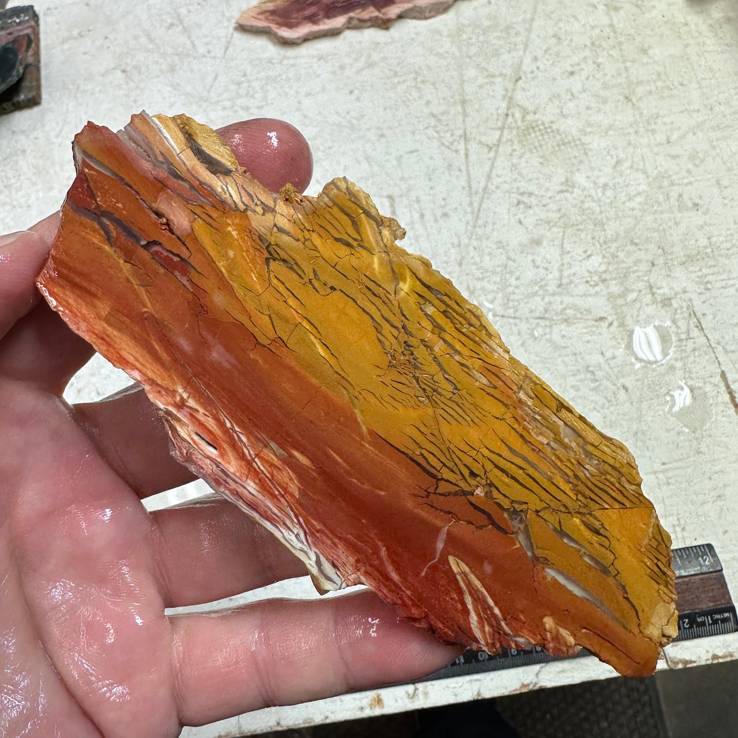 SUNSET HOWARDITE Slab - 68 grams