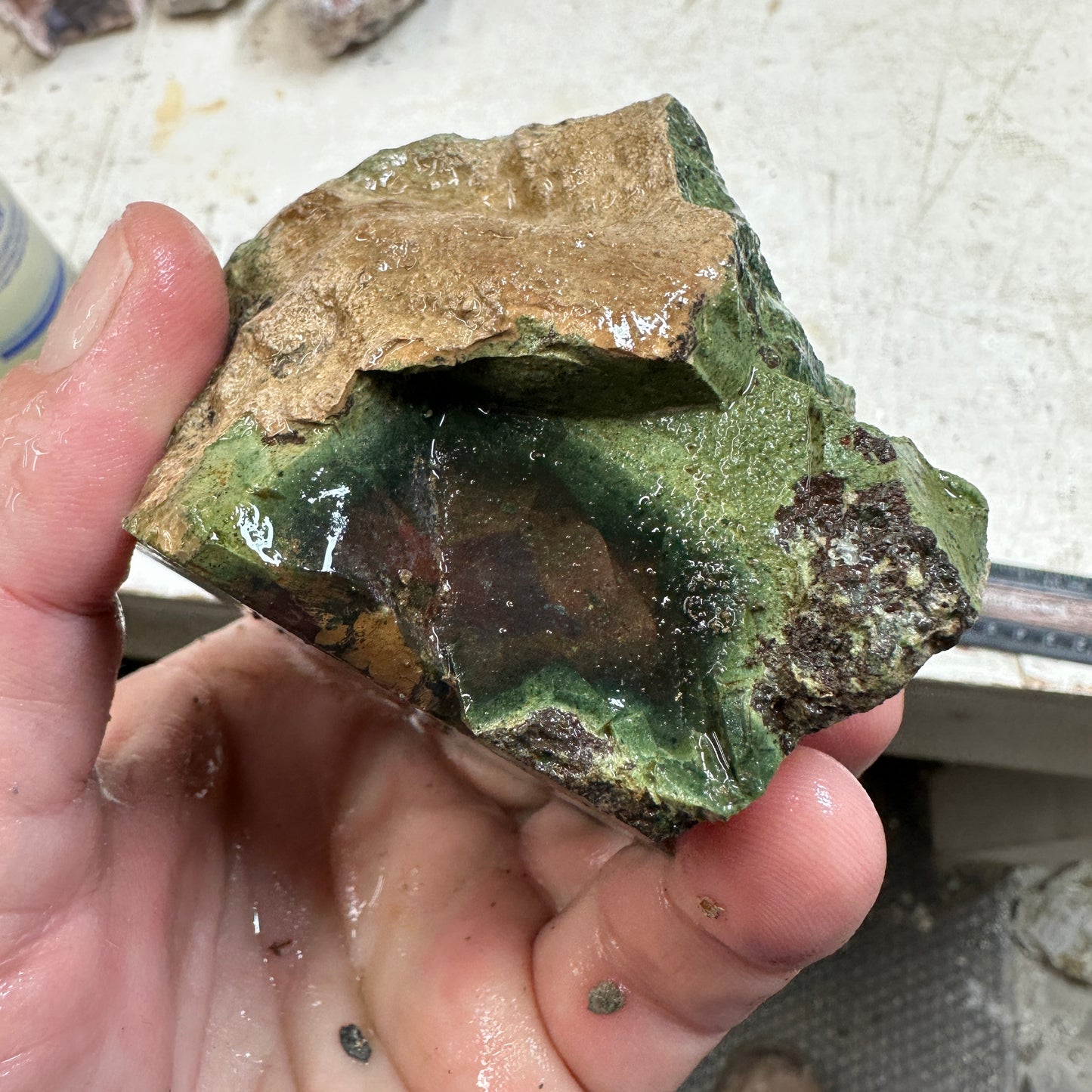 ECHO RIDGE JASPER Rough - 1.09 Pounds