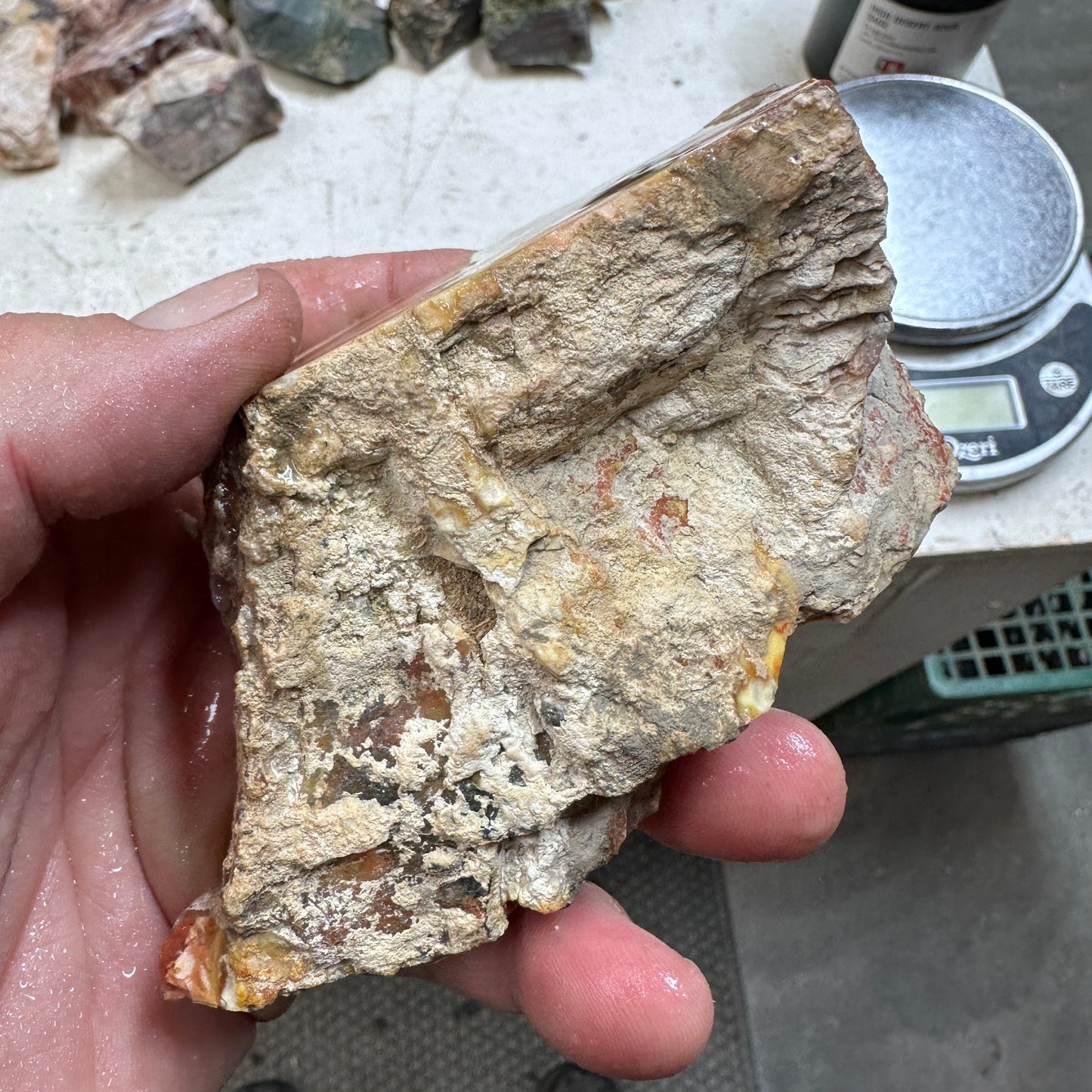 Sunset HOWARDITE Faced Rough - 0.71 pounds