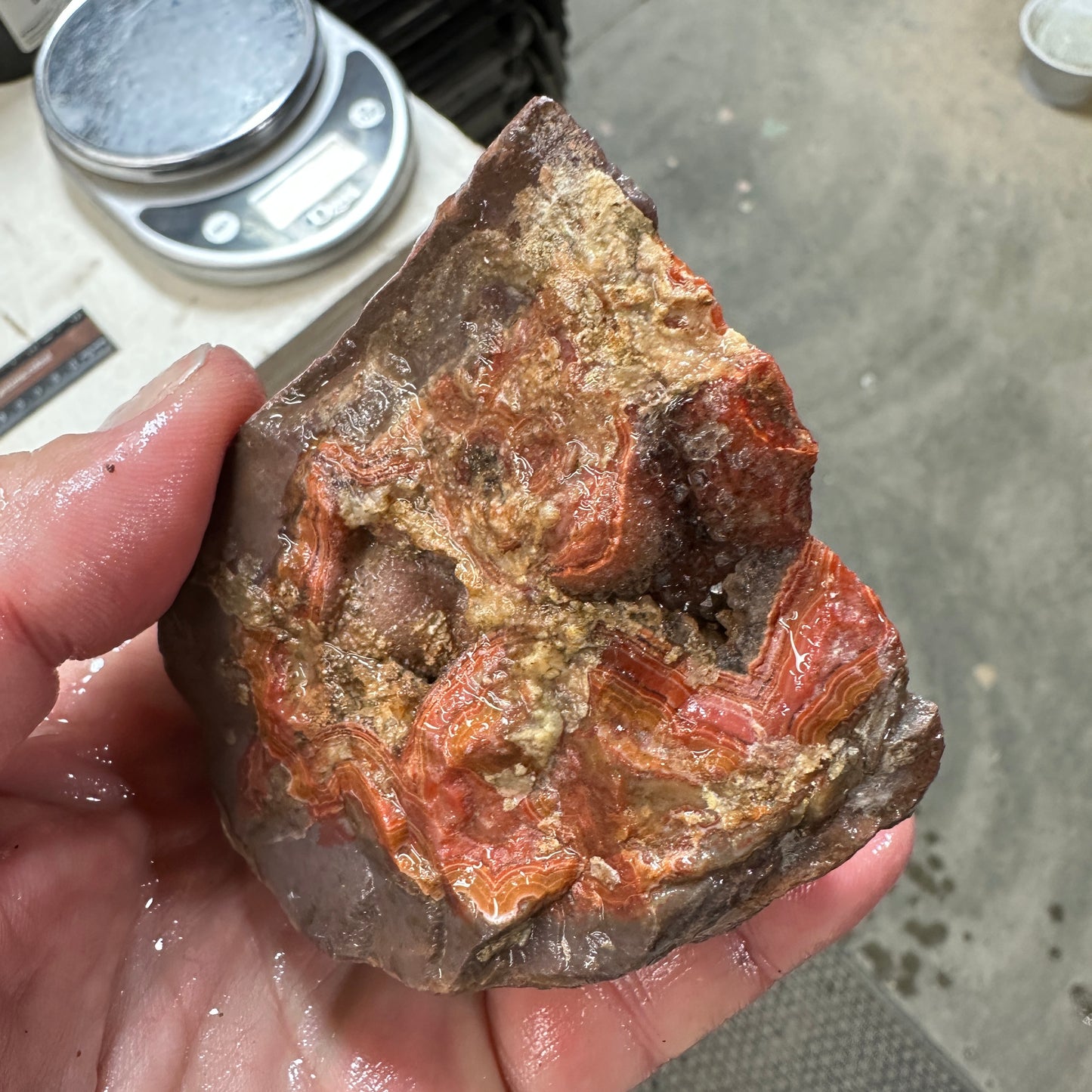 DRYHEAD AGATE Faced Rough - 0.73 Pounds