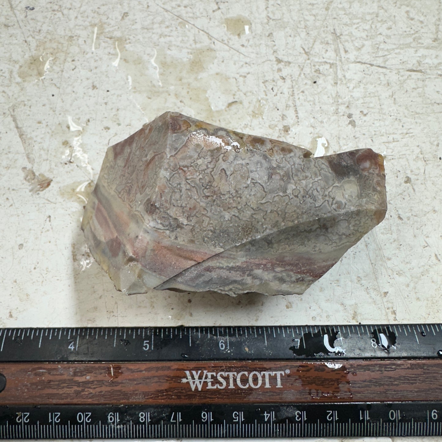 CRAZY LACE AGATE Rough - 0.61 pounds