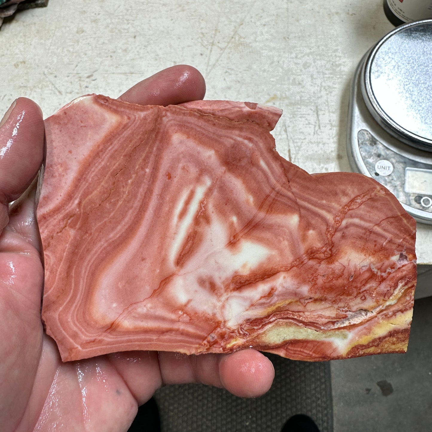 WINDY MOUNTAIN JASPER Slab - 179 grams