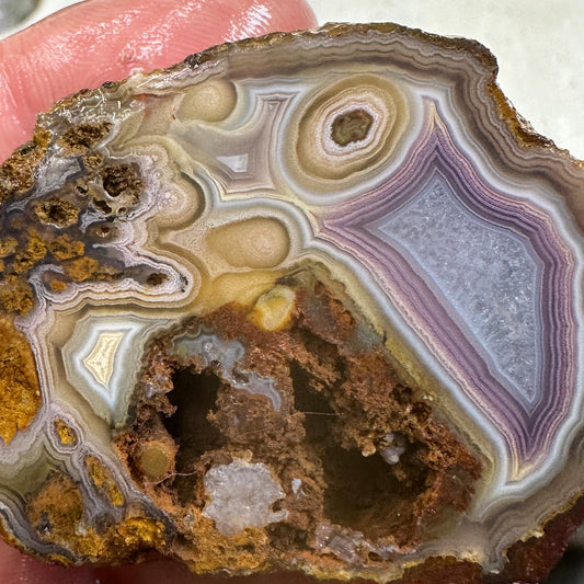 COYOMITO AGATE Rough - 0.21 Pounds