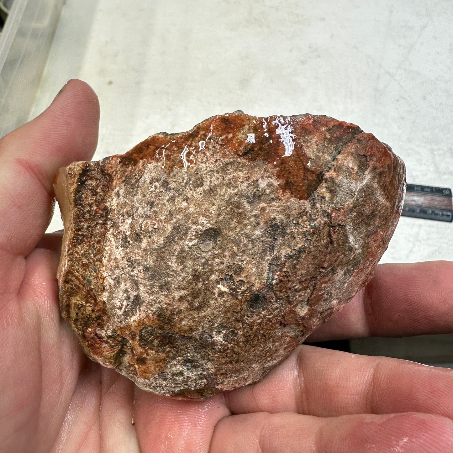 SWAZI ROSE AGATE Rough - 0.83 Pounds