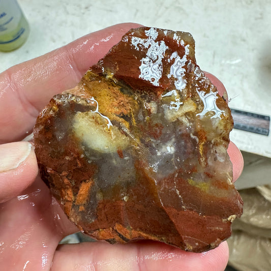 CAREY PLUME AGATE Rough - 4.06oz