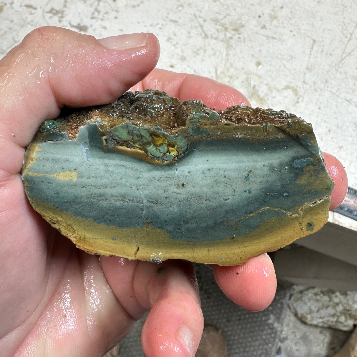 ECHO RIDGE JASPER Rough - 0.69 Pounds