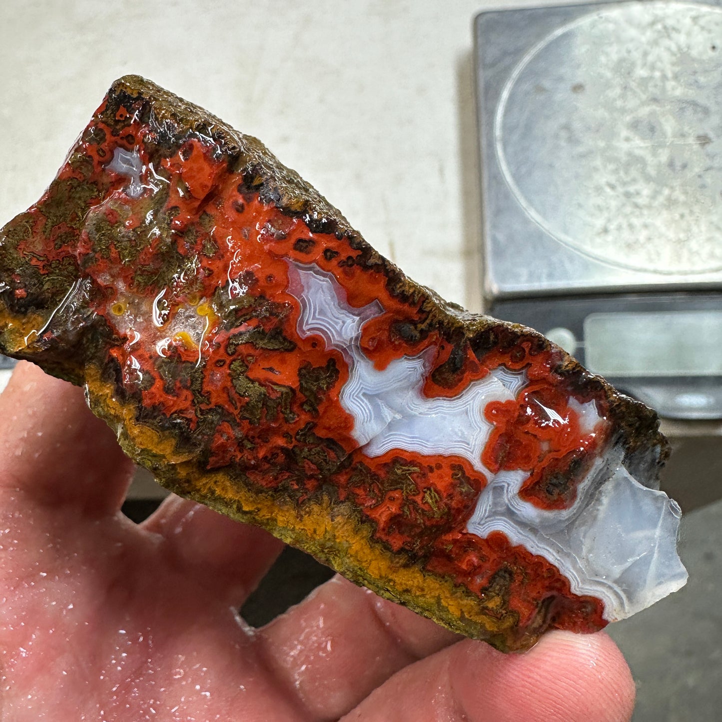 MOROCCAN SEAM AGATE Rough - 0.67 Pounds