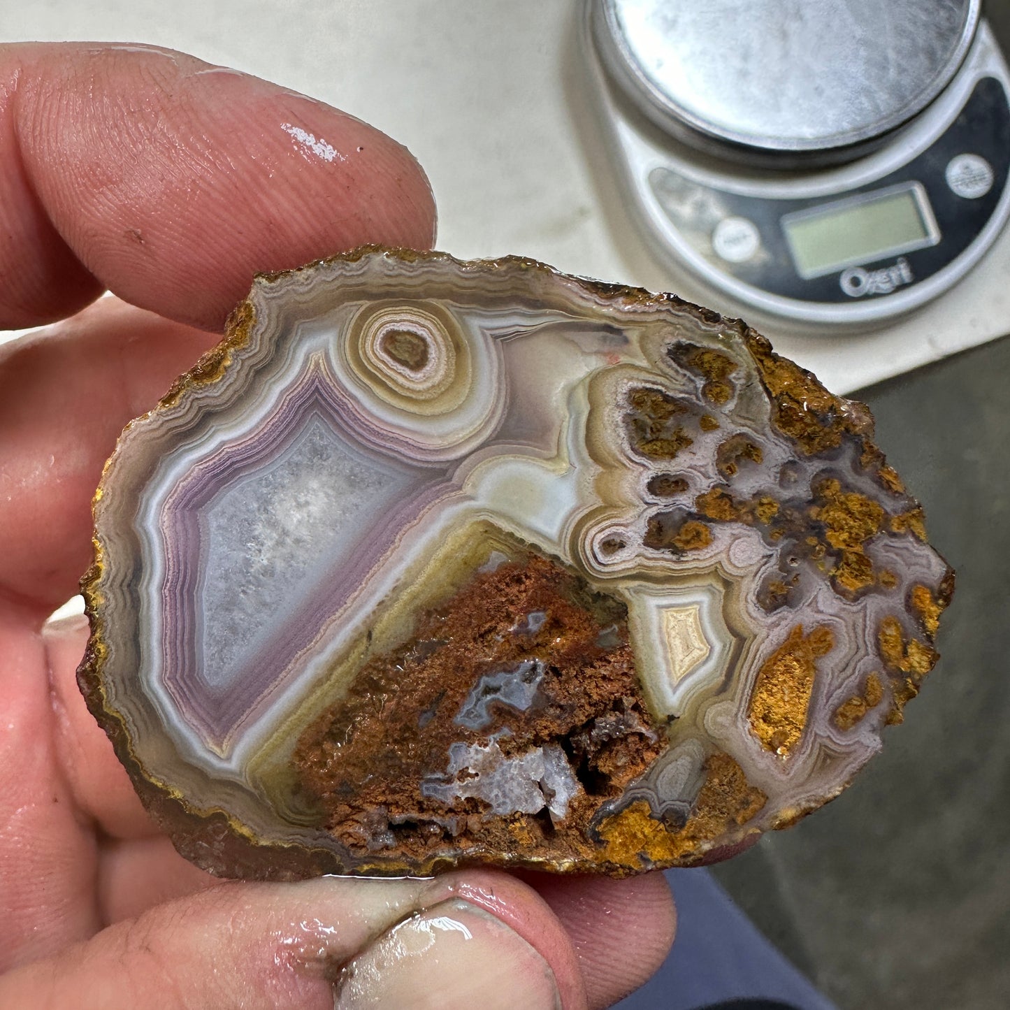 COYOMITO AGATE Rough - 0.20 Pounds