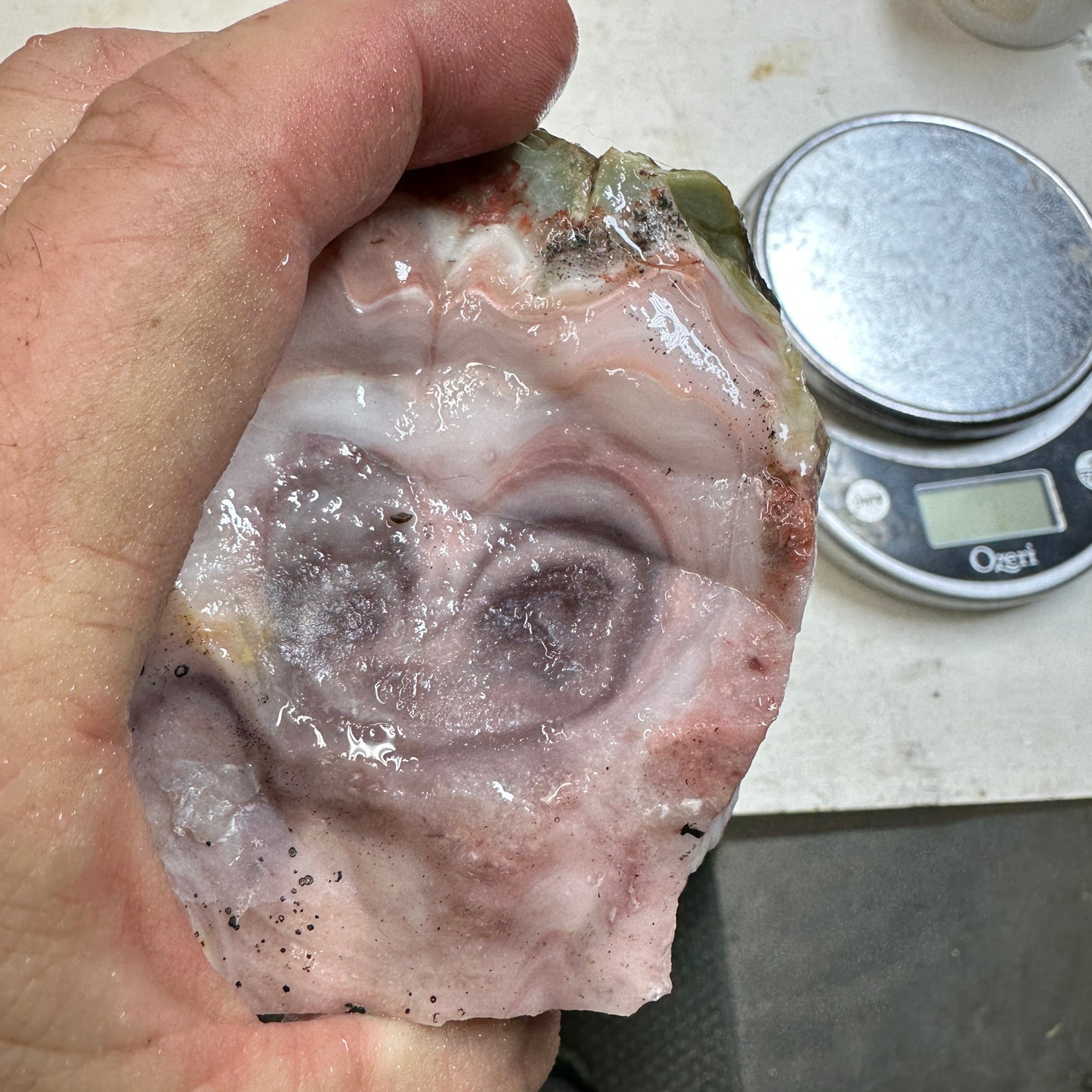 WINDY MOUNTAIN AGATE Faced Rough - 1.48 Pounds