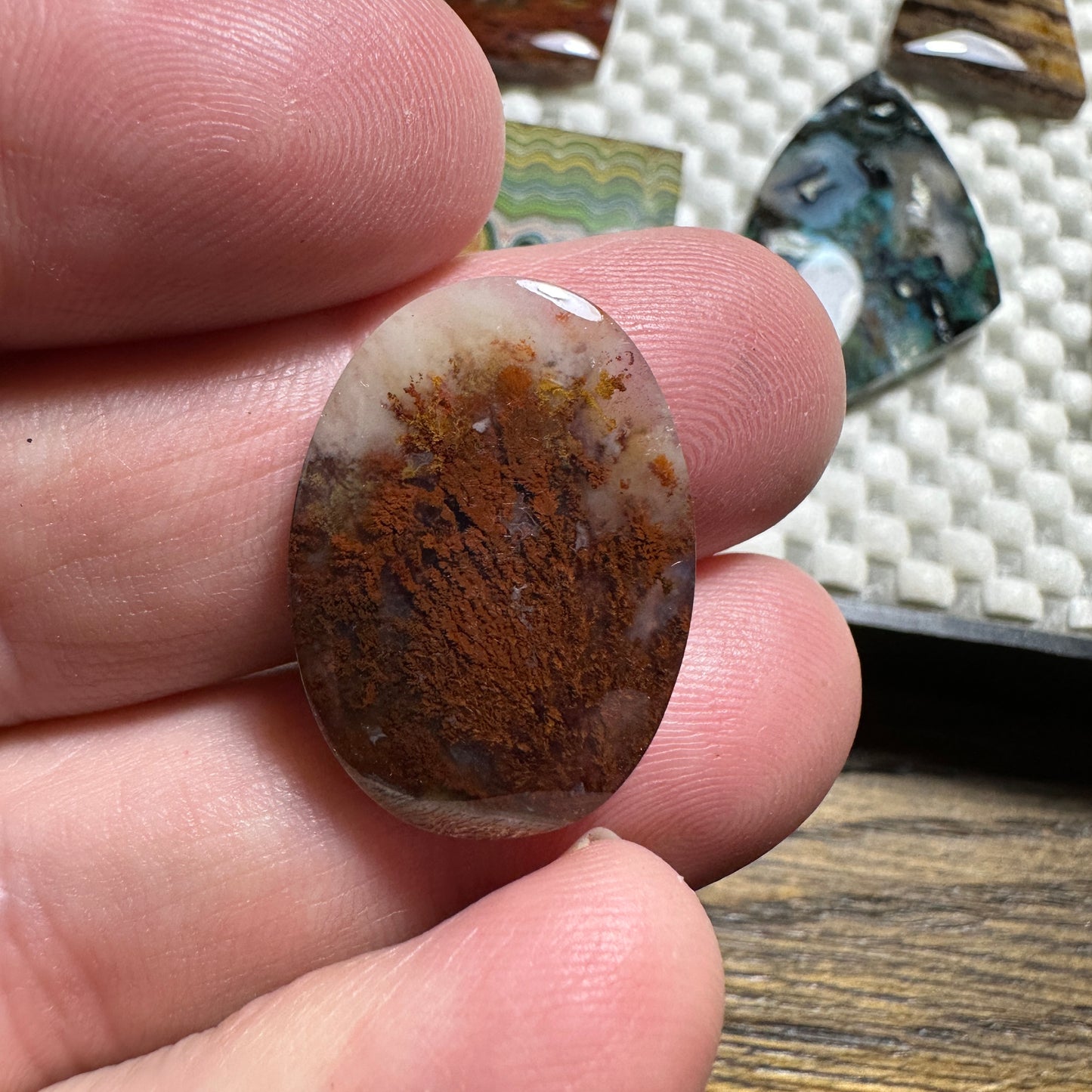 CAREY PLUME AGATE cabochon