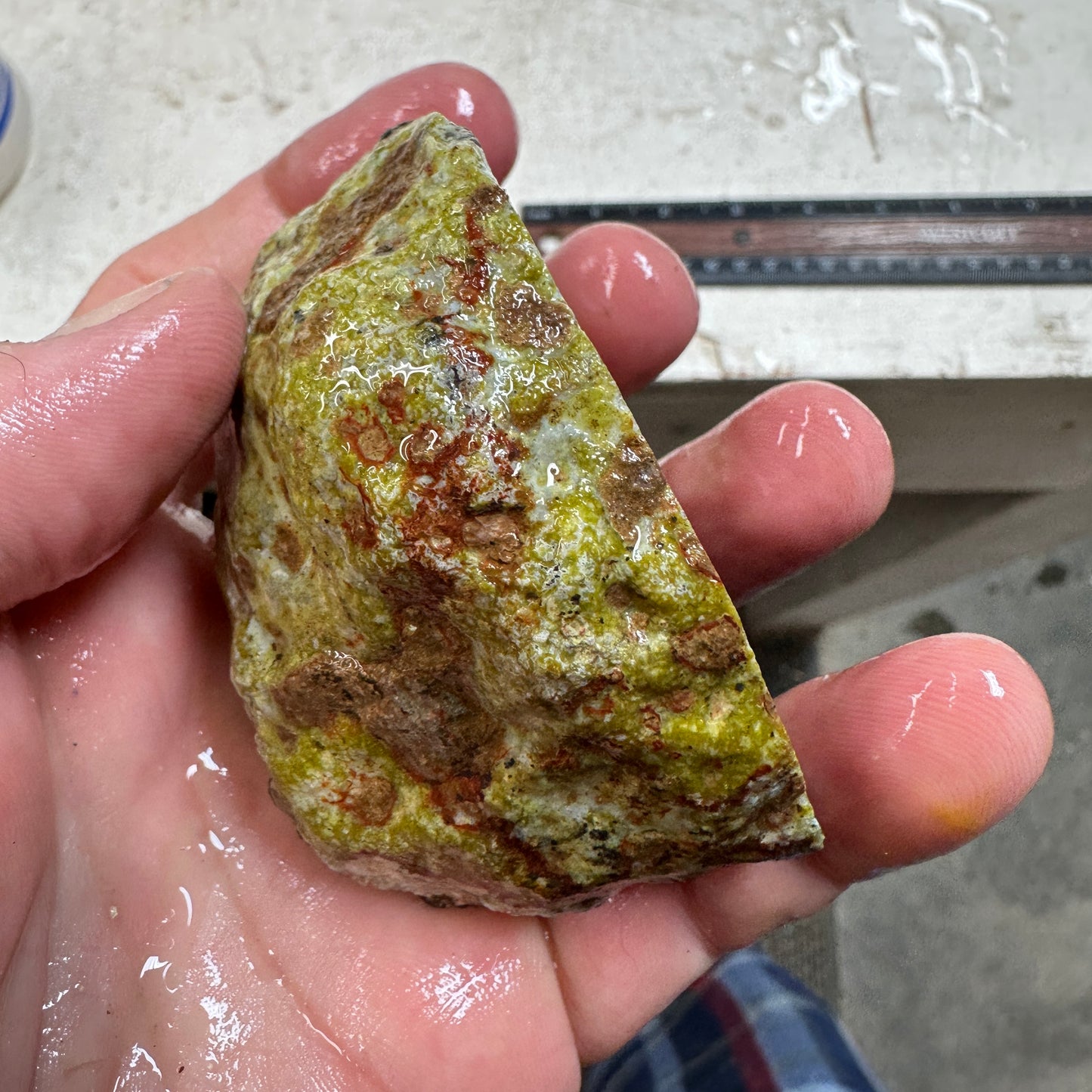 AGUA NUEVA AGATE Rough - 0.53 Pounds