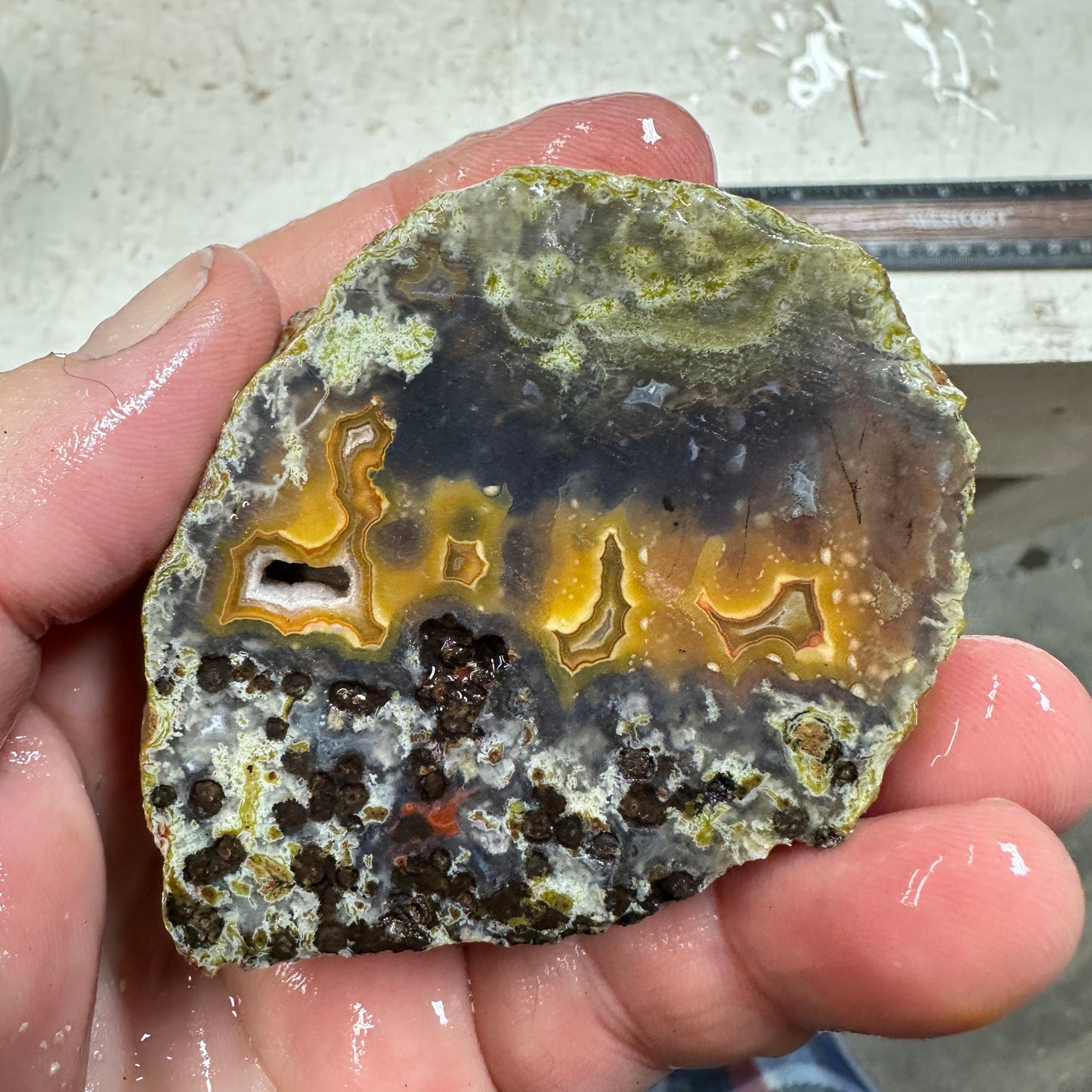 AGUA NUEVA AGATE Rough - 0.53 Pounds