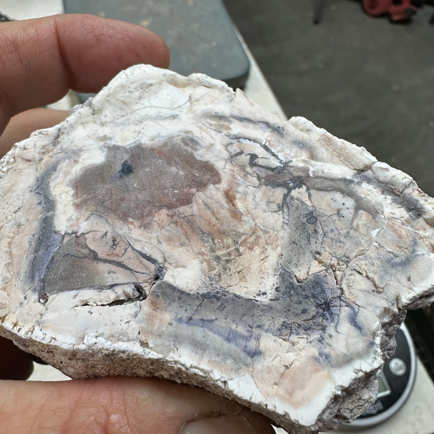 TIFFANY STONE Faced Rough - 1.08 Pounds