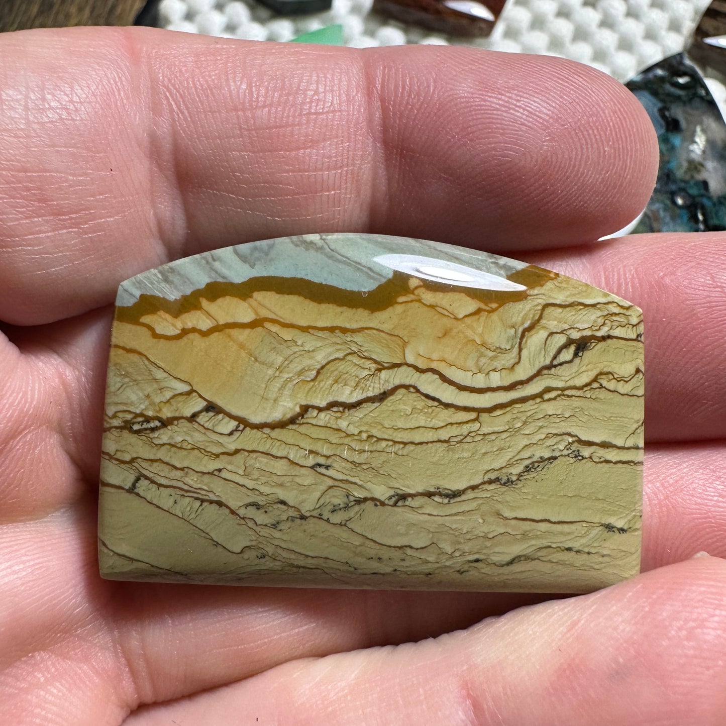 BIG HORN JASPER cabochon